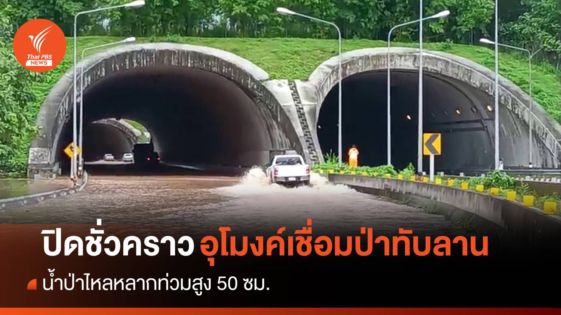 ปิดชั่วคราว! อุโมงค์เชื่อมเขาใหญ่-ทับลาน น้ำป่าท่วมสูง 50 ซม.