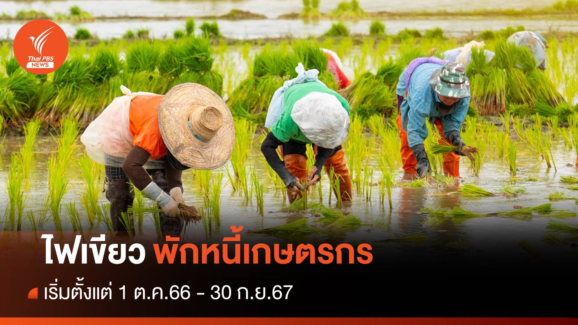 ครม.เคาะพักหนี้เกษตรกรรายย่อย 2.7 ล้านคน เริ่ม 1 ต.ค.นี้