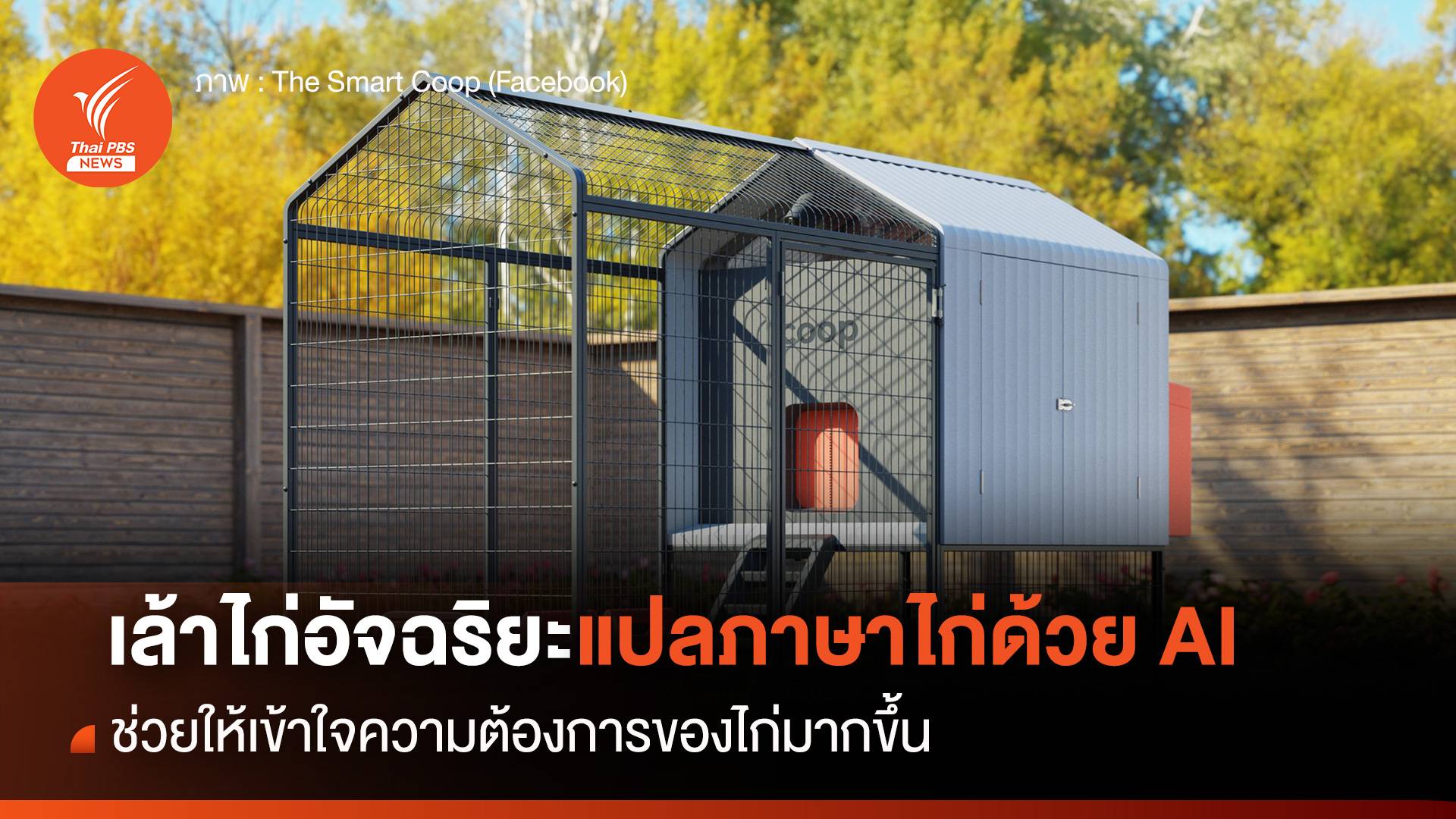 เล้าไก่อัจฉริยะ แปลภาษาไก่ด้วย AI ช่วยให้เข้าใจความต้องการของไก่มากขึ้น
