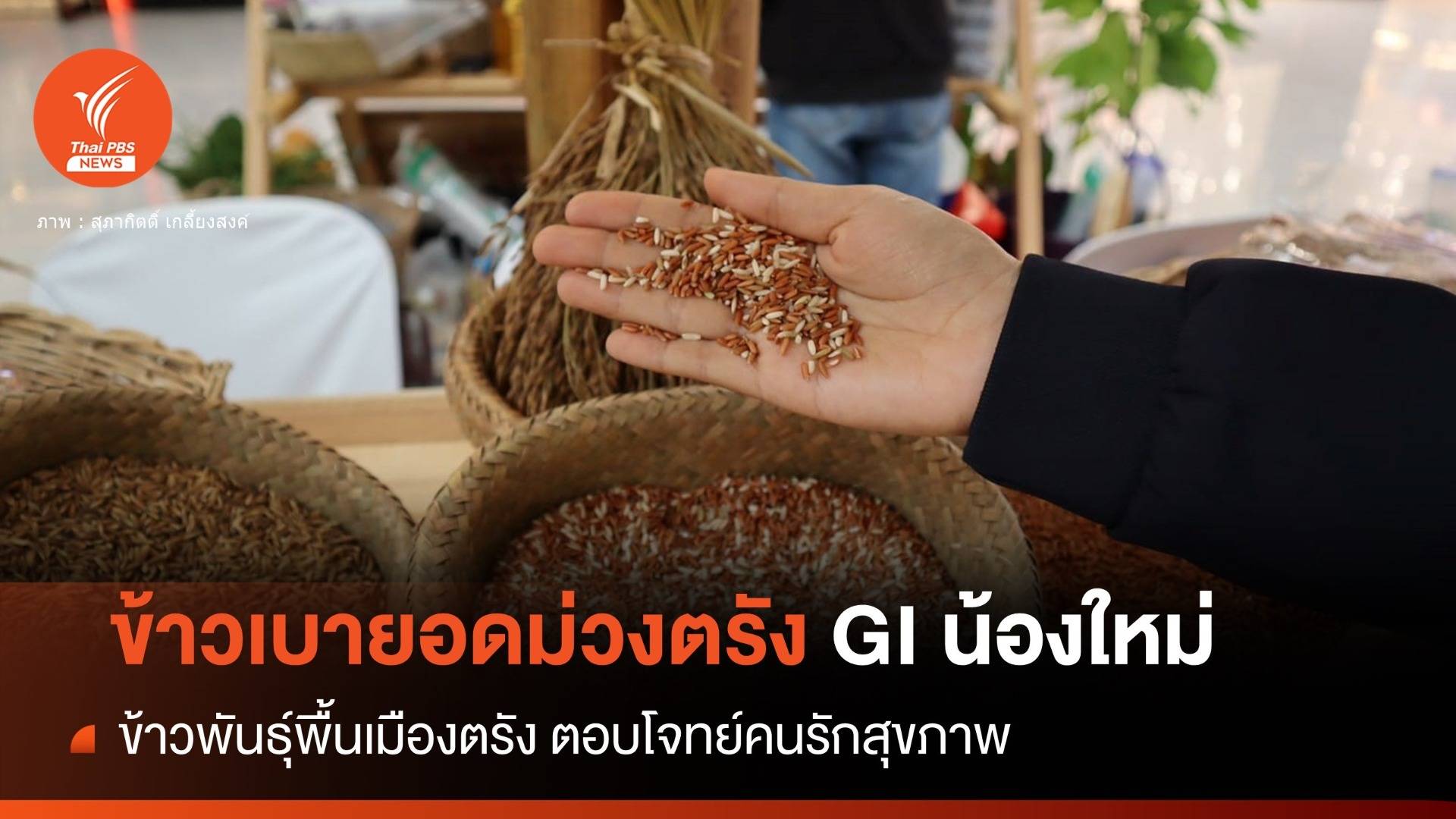 “พาณิชย์” ขึ้นทะเบียน GI น้องใหม่ “ข้าวเบายอดม่วงตรัง”
