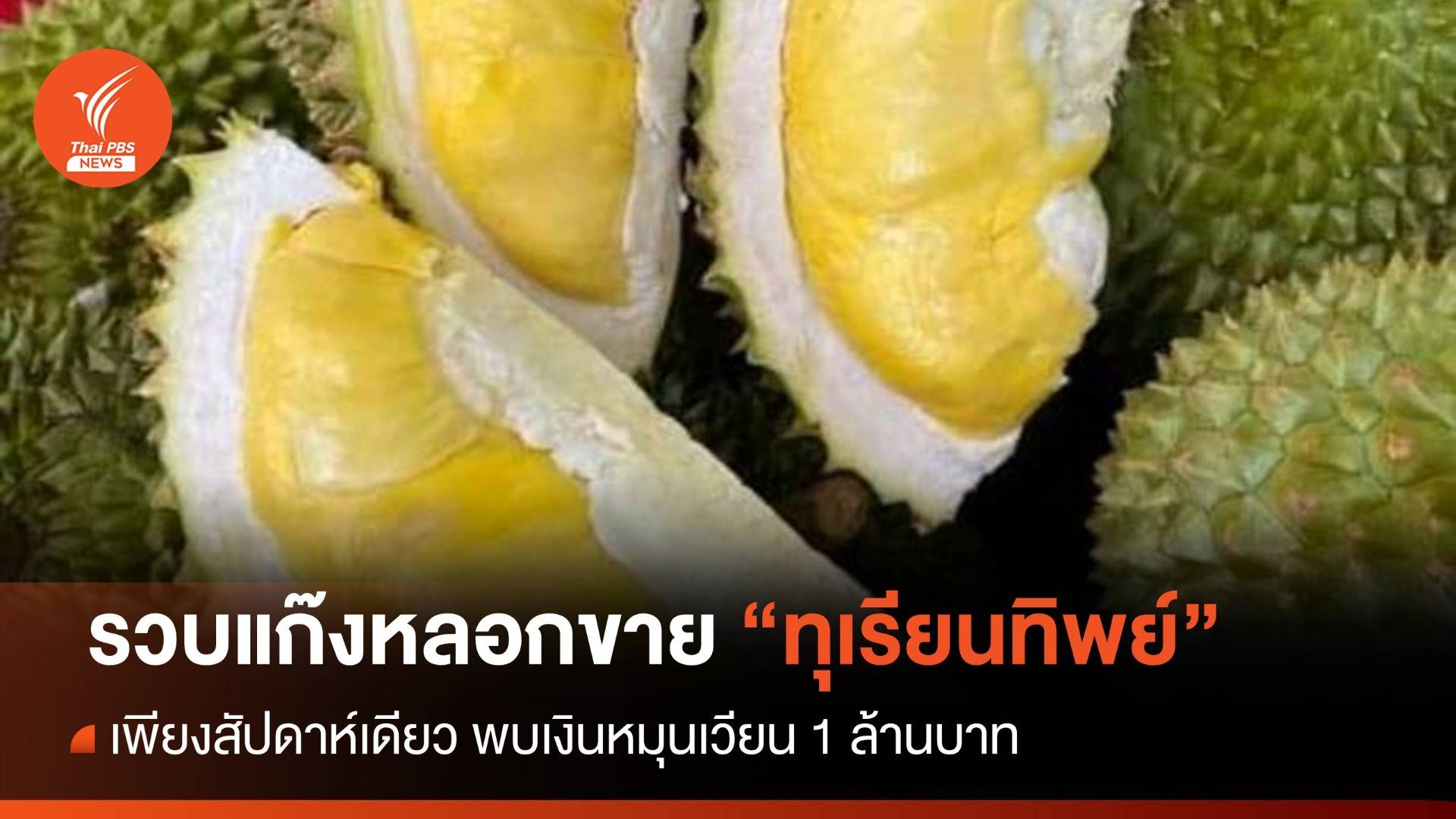 สั่งซื้อ "ทุเรียน" จากเพจแต่ไม่ได้สินค้า ถูกเชิดเงินกว่า 500 คน