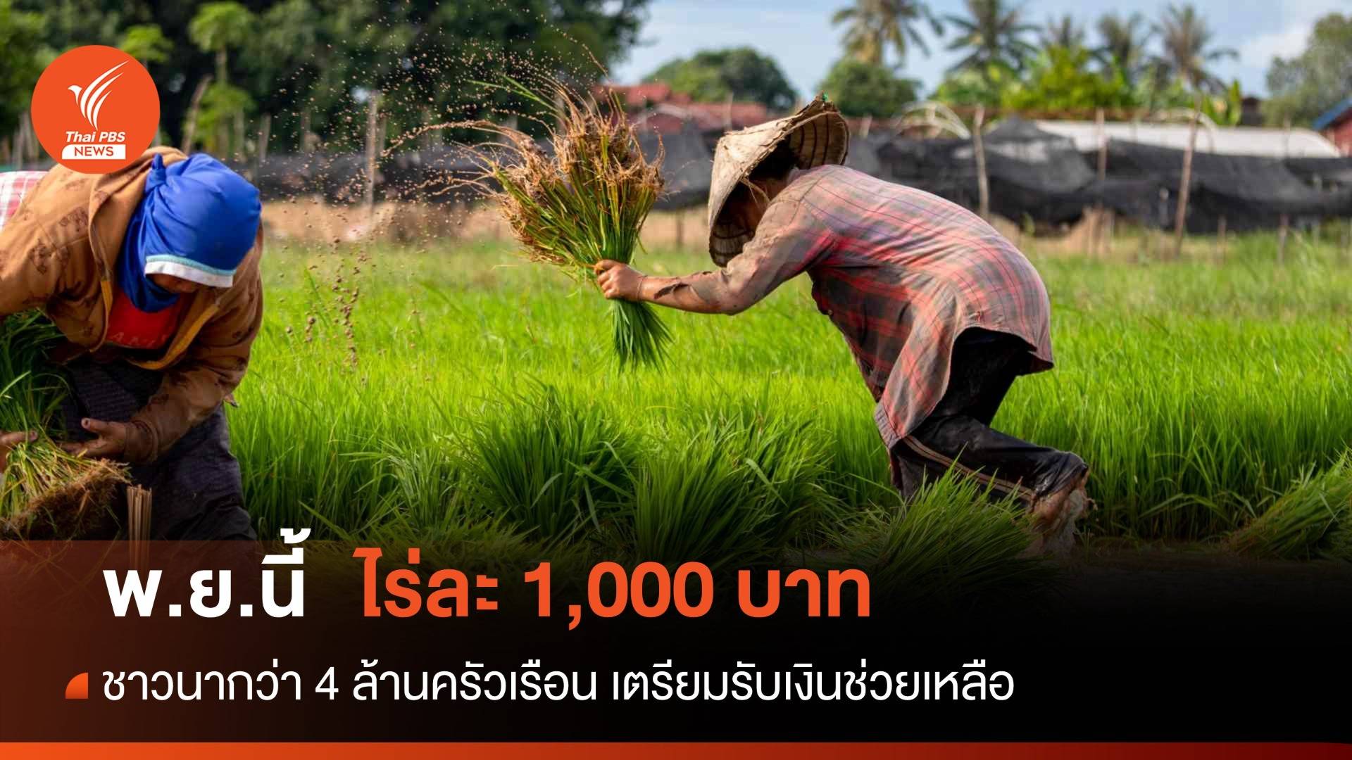 ไร่ละ 1,000 ! ชาวนา 4.68 ล้านครัวเรือน รับเงินช่วยเหลือ พ.ย.นี้