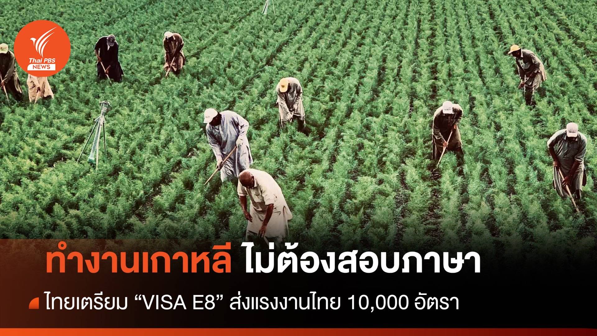 ไทยเตรียม "VISA E8" หมื่นอัตรา ทำงานเกาหลีไม่ต้องสอบภาษา