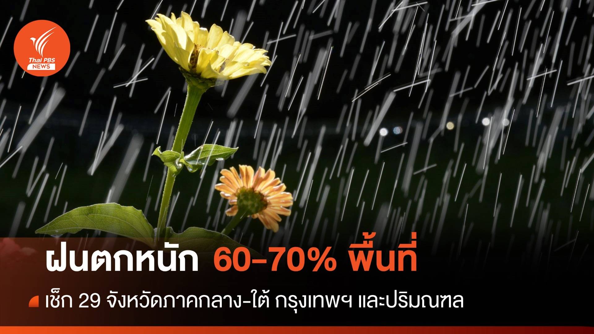 สภาพอากาศวันนี้ เช็ก 29 จังหวัดรับมือฝนตกหนัก 60-70% พื้นที่