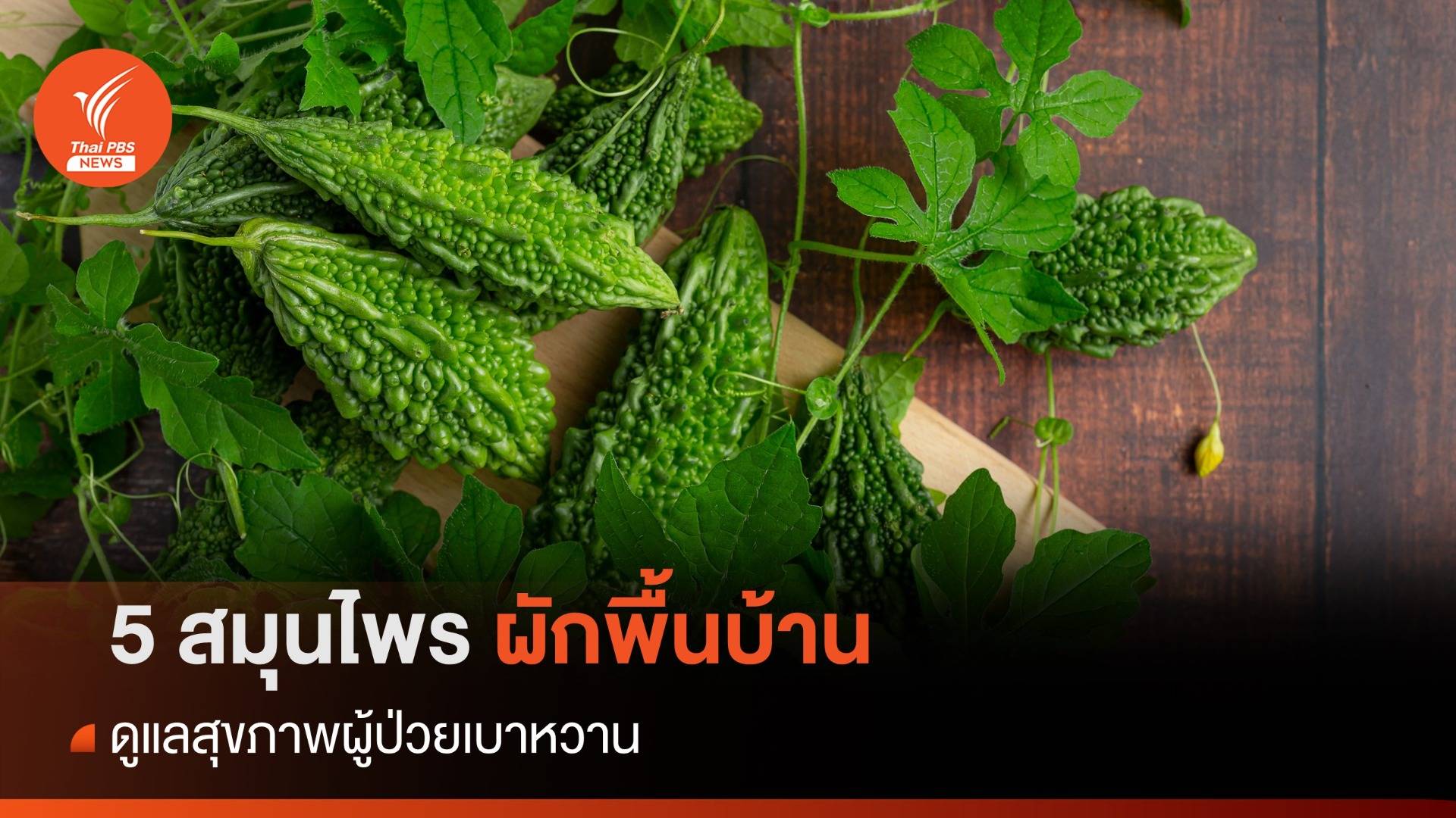 5 สมุนไพรผักพื้นบ้าน 1 ตำรับยาไทย พิชิตเบาหวาน