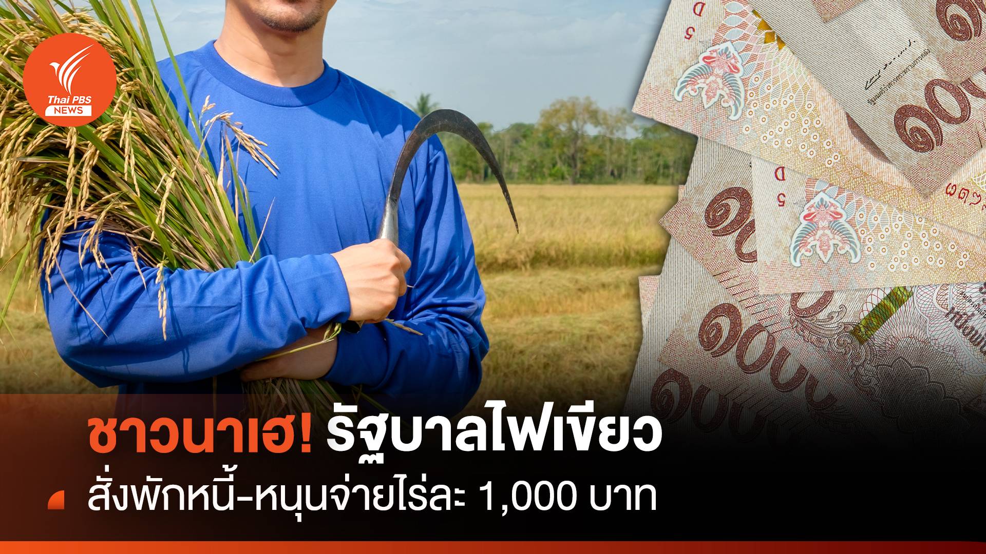 ชาวนาเฮ ! รัฐบาลไฟเขียว สั่งพักหนี้-หนุนจ่ายไร่ละ 1,000 บาท
