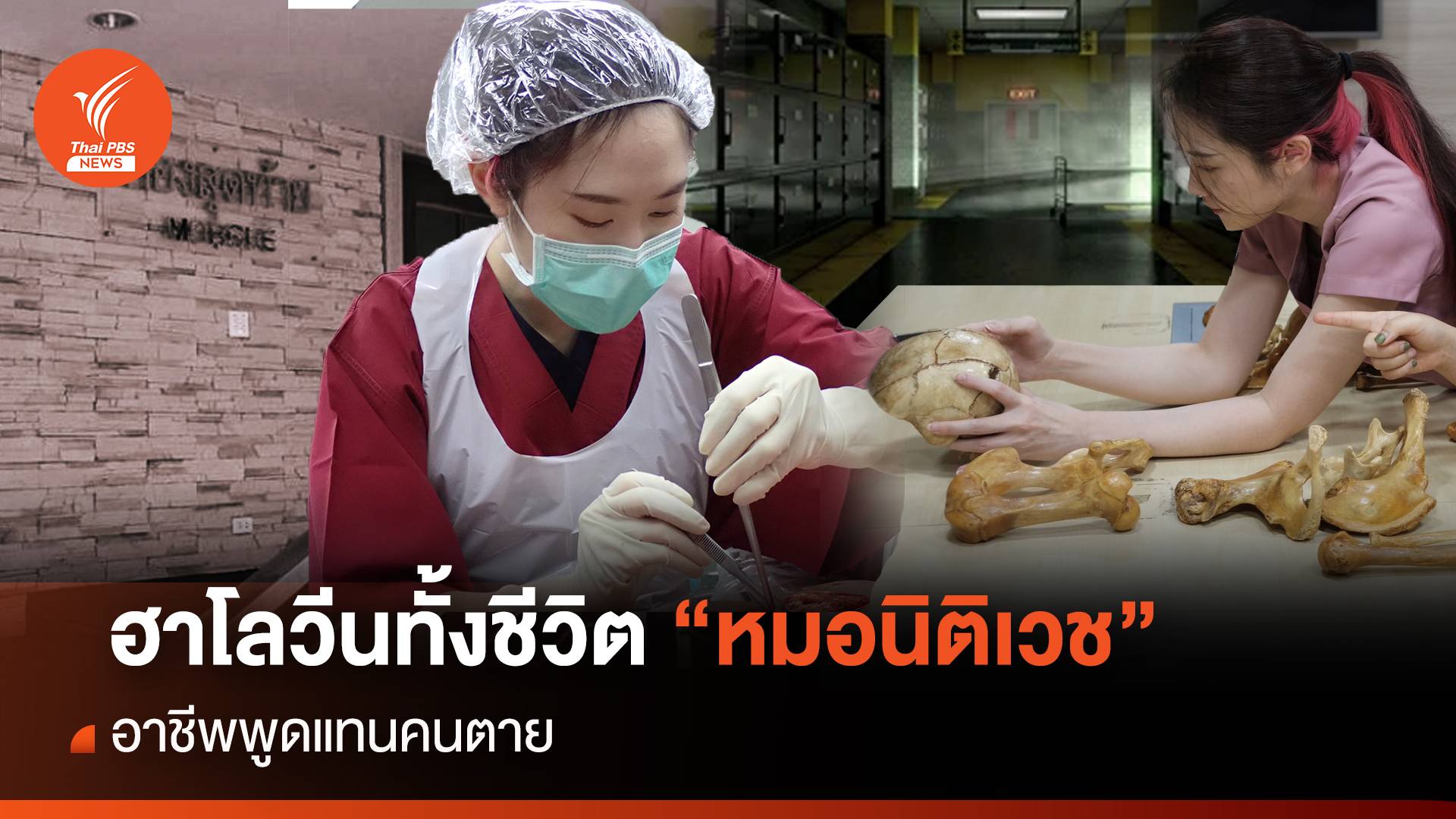 ฮาโลวีนทั้งชีวิต "หมอนิติเวช"  อาชีพพูดแทนคนตาย