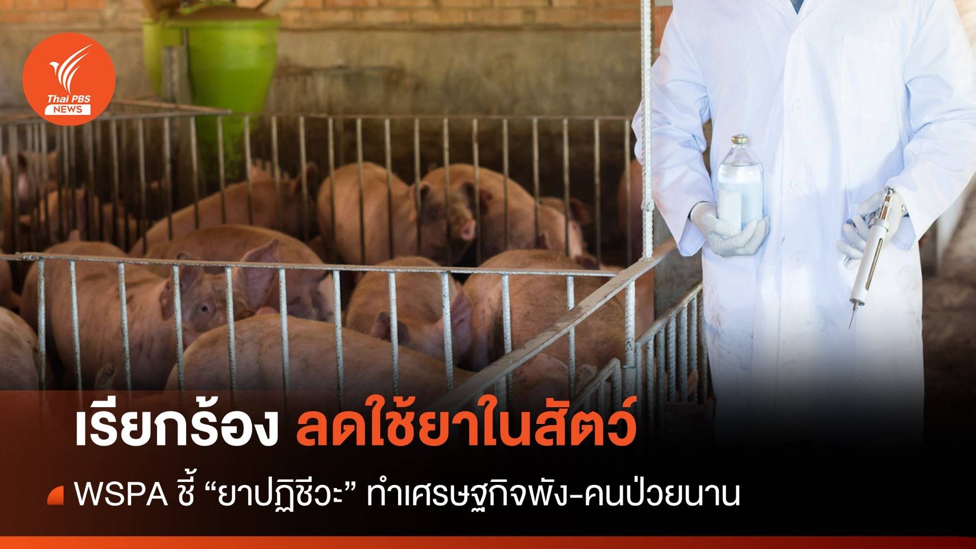 รักษาไม่ได้ผล "ยาปฏิชีวนะ" ทำเศรษฐกิจพัง 4 หมื่นล้าน-คนป่วยนาน