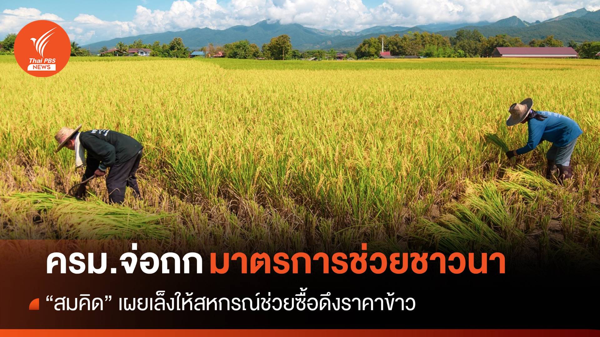 "สมคิด" เผย ครม.จ่อถกมาตรการดึงราคาข้าวช่วยชาวนา