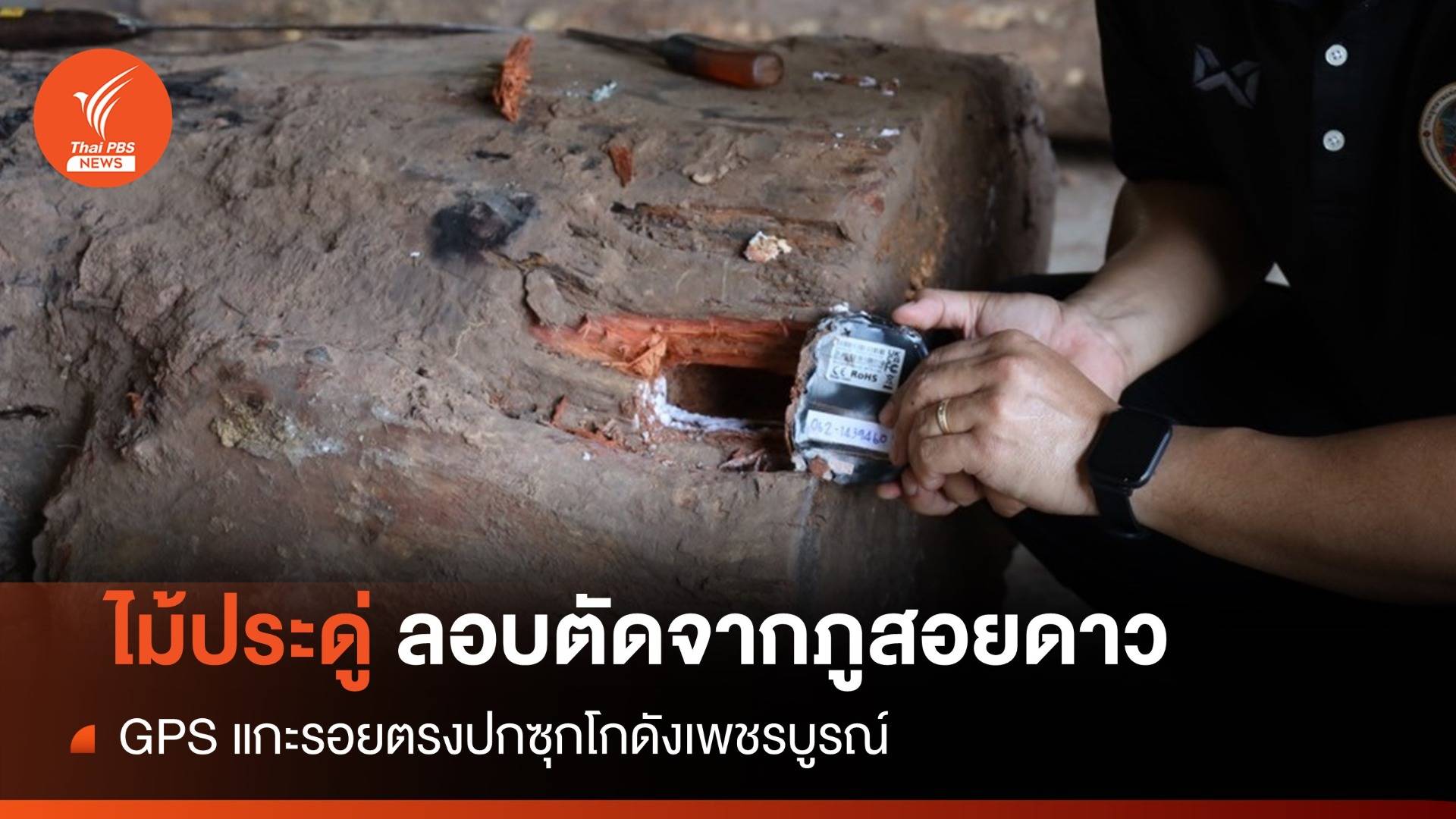 แกะรอย GPS ยึด "ไม้ประดู่" ลอบตัดอุทยานภูสอยดาวซุกโกดัง
