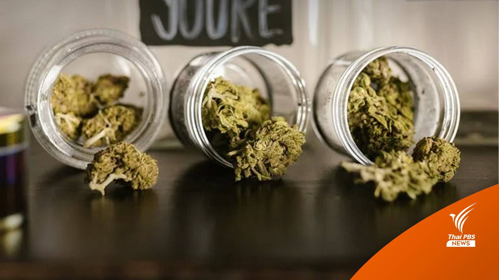 หลายชาติเตือนคนไทยห้ามนำ "กัญชา-กัญชง" เข้าประเทศ