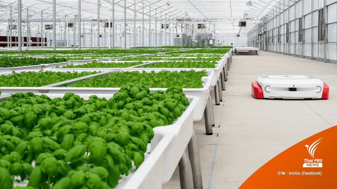 สตาร์ตอัปสหรัฐฯ ใช้หุ่นยนต์ และ AI ช่วยทำฟาร์มเกษตร