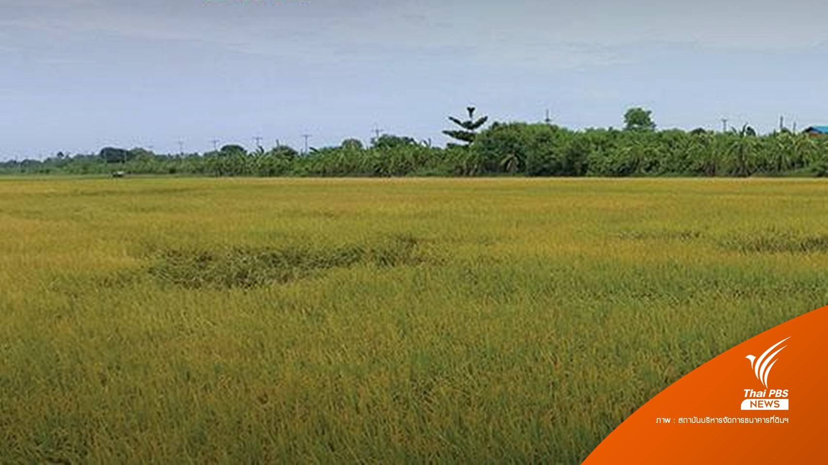 ครม.เคาะลดค่าธรรมเนียมโอนธนาคารที่ดินเหลือ 0.01% ถึงปี 68