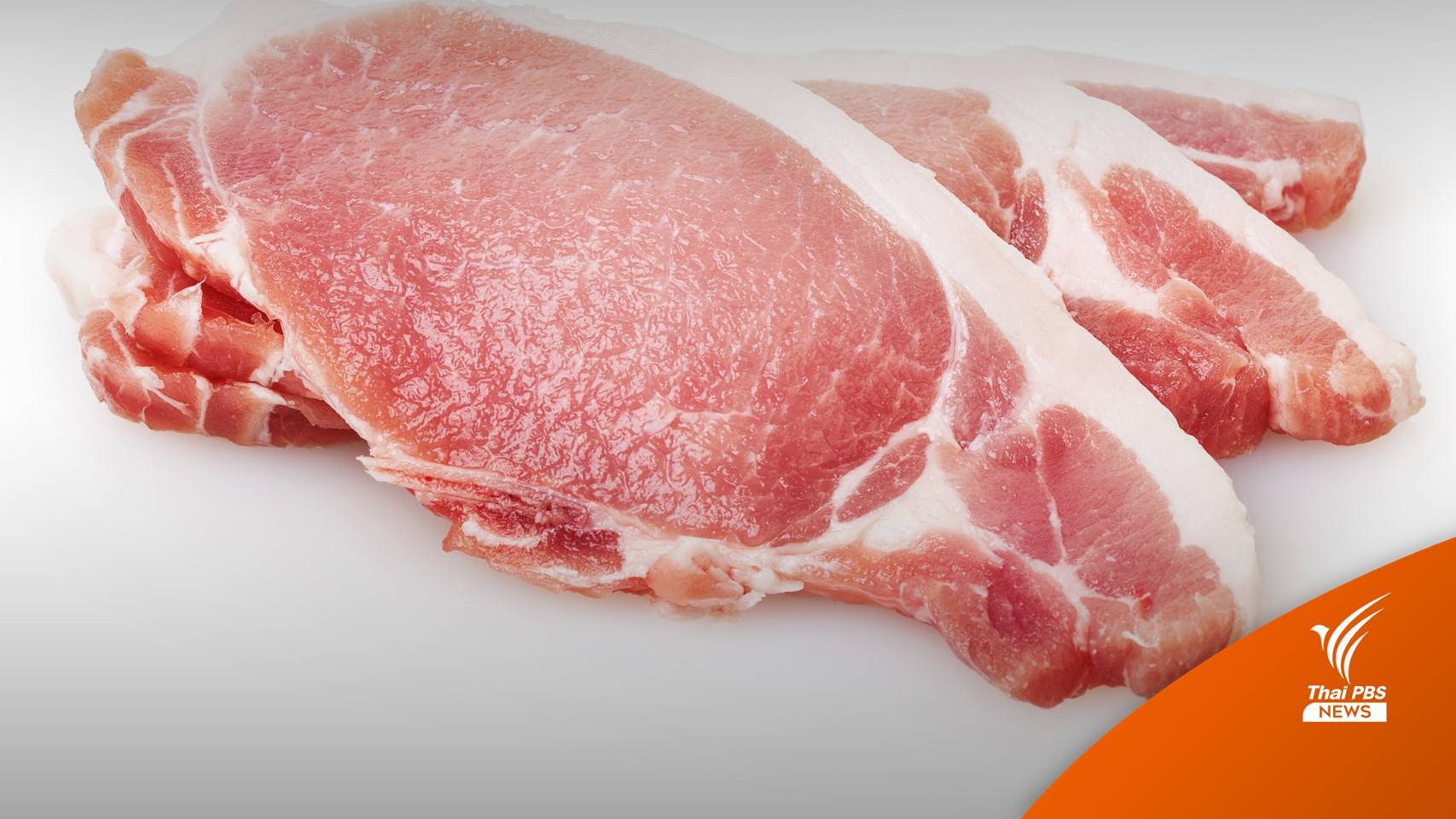 ผู้เลี้ยงสุกรจี้รัฐแก้ปัญหาหมูเถื่อน ก่อนผู้เลี้ยงปิดตัว