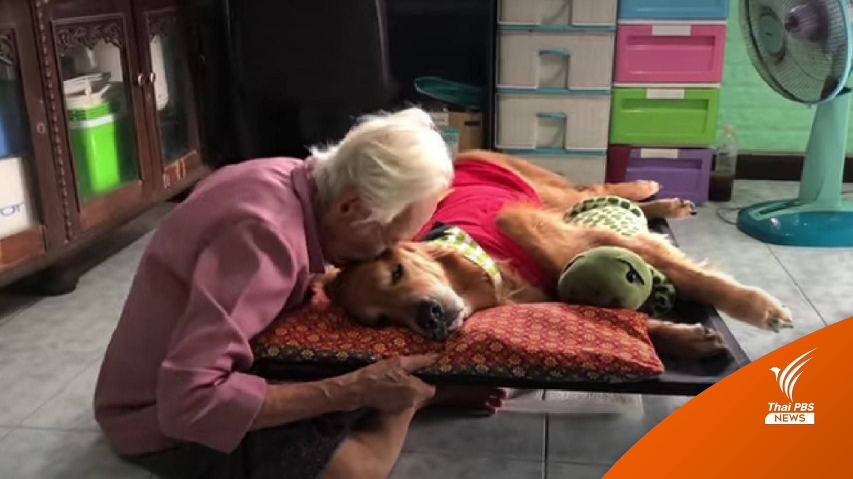 "แม่ตุ๊ก" โพสต์อาลัย "ลีโอ #ไอ้หนูของยาย" หลังสิ้นใจเพราะมะเร็ง