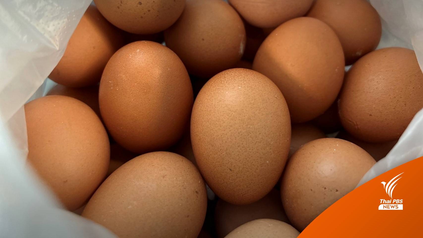 เริ่ม 3 ส.ค. "ไข่ไก่คละ" ขึ้นราคาฟองละ 10 สตางค์