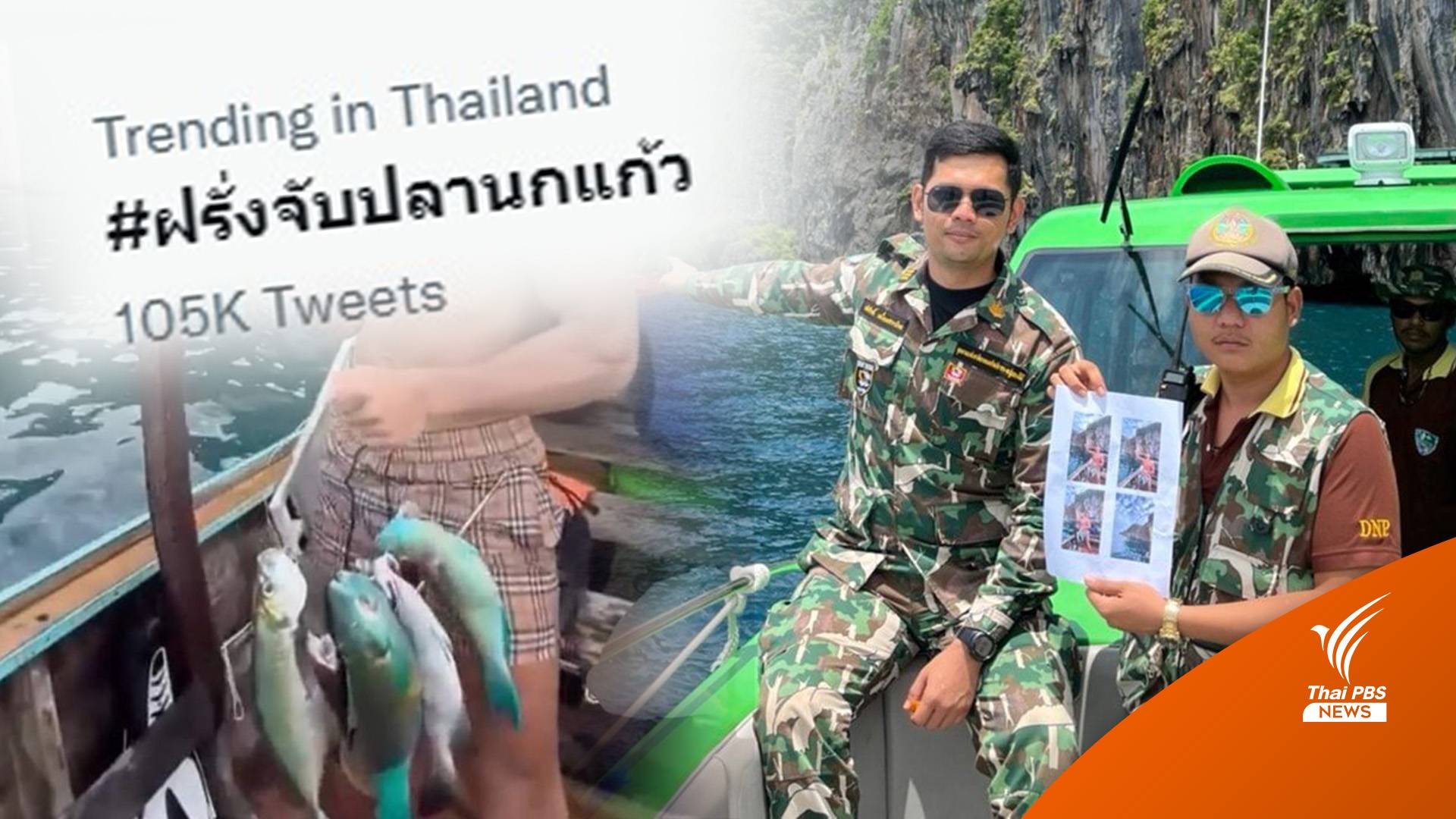 เอาผิดเจ้าของเรือ-ชาวต่างชาติ #ฝรั่งจับปลานกแก้ว