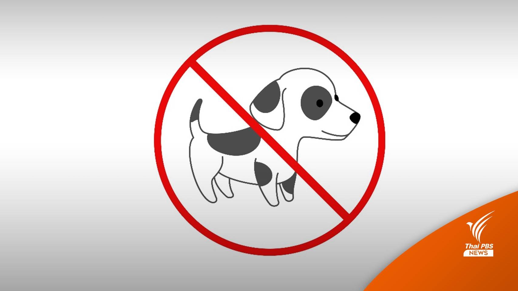 ศาลสั่งปรับลูกบ้าน 141,500 บาท ฝ่าฝืนเลี้ยงสัตว์ในคอนโดฯ