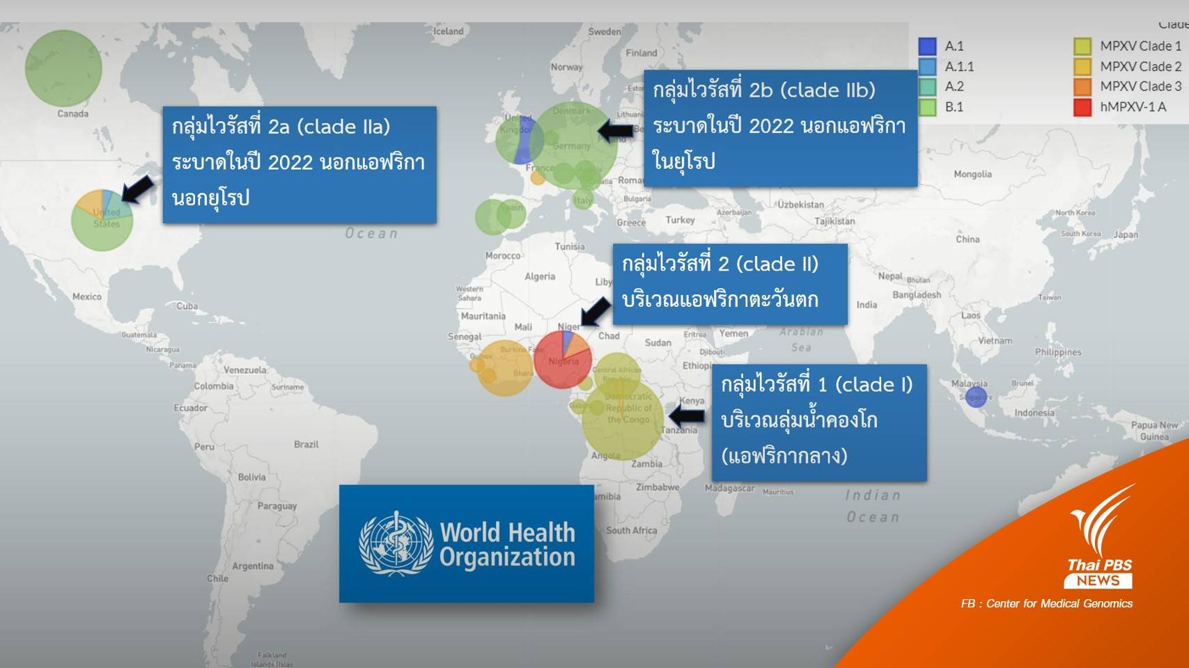 ศูนย์จีโนมฯ เปิดข้อมูล 4 กลุ่มไวรัส "ฝีดาษลิง"
