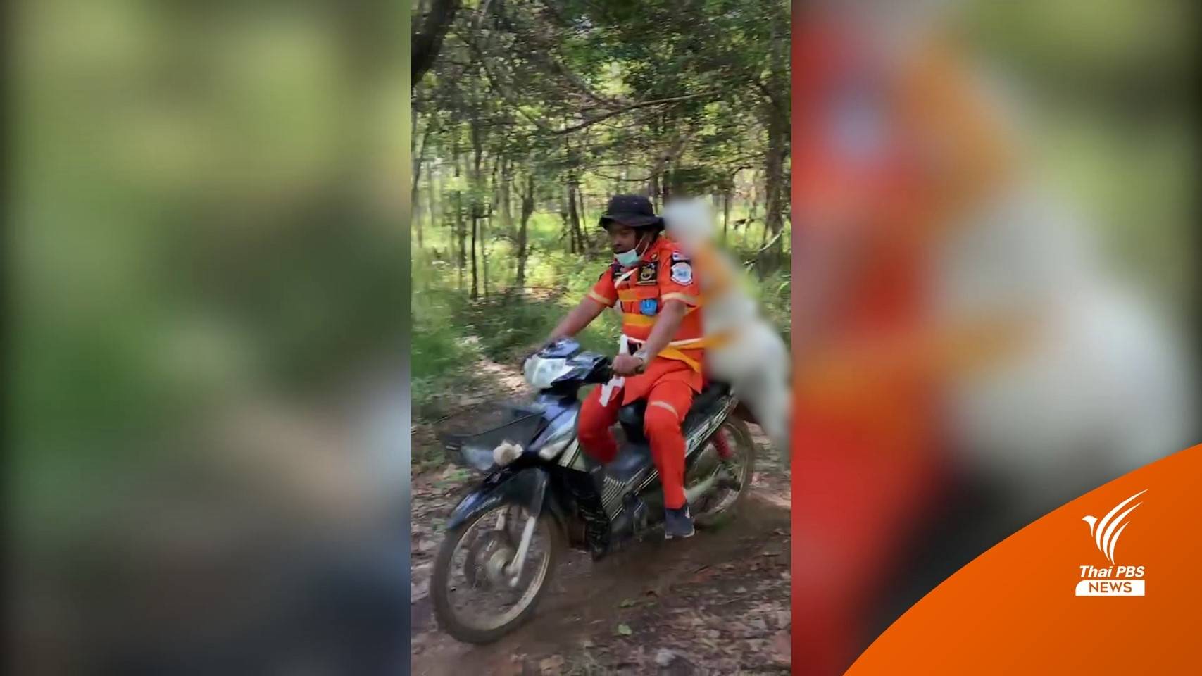กู้ภัยผูกร่างผู้เสียชีวิตติดหลัง ขี่ จยย.ออกจากป่า 5 กม.