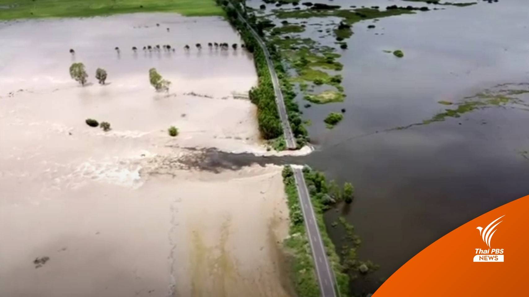คันดินกั้นลำน้ำเสียวขาด น้ำท่วมทะลักหลายพื้นที่ จ.ศรีสะเกษ
