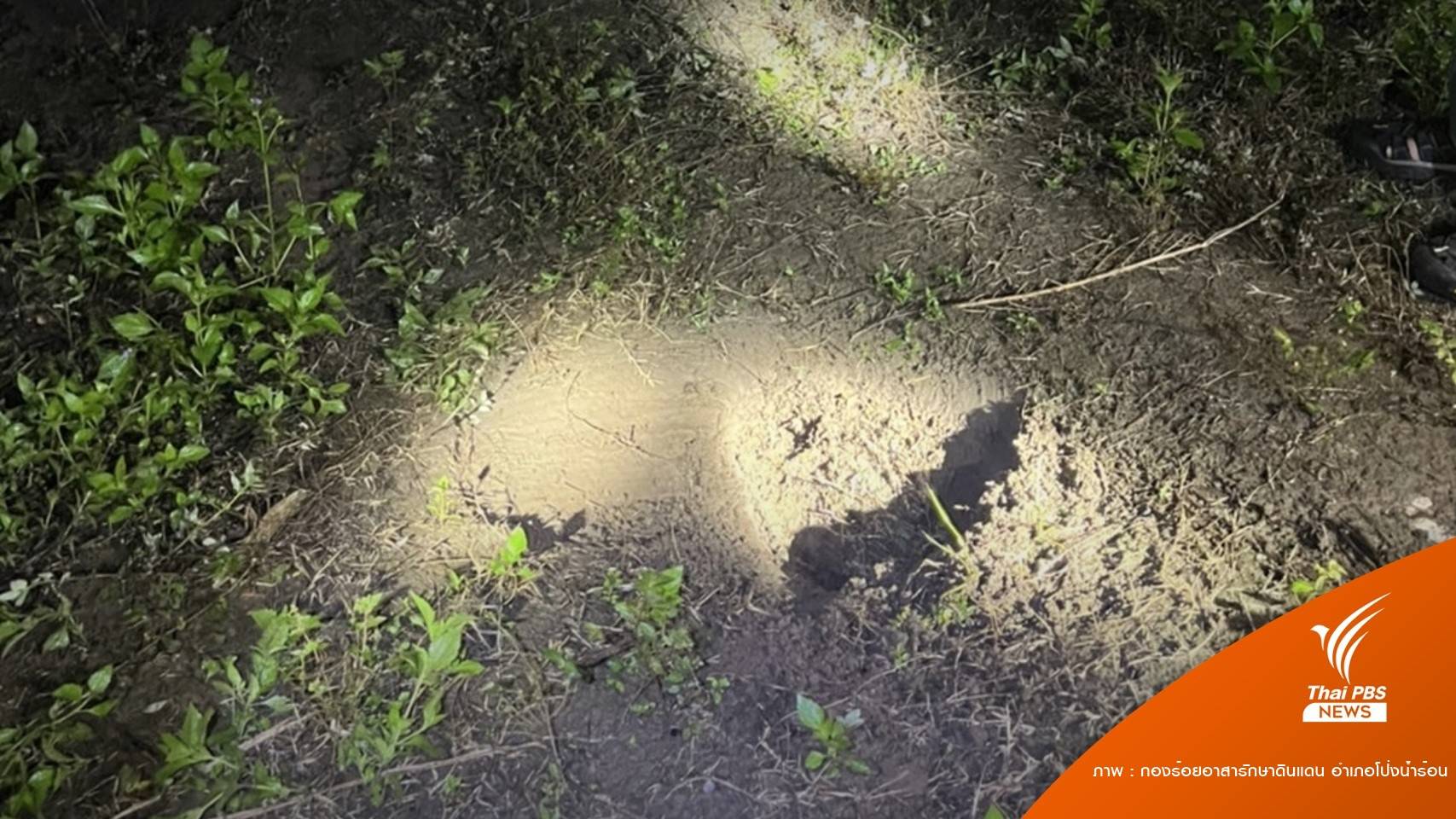 "ช้างป่า" ทำร้ายพิทักษ์ป่าคลองเครือหวายตาย 1