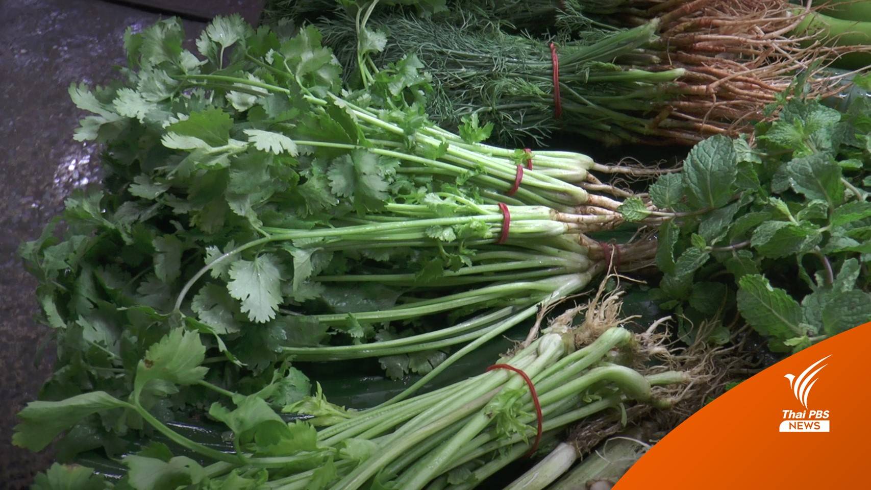 ผักหลายชนิดขึ้นราคาเกือบเท่าตัว ตลาดโคราช ผักชีโลละ 180 บาท