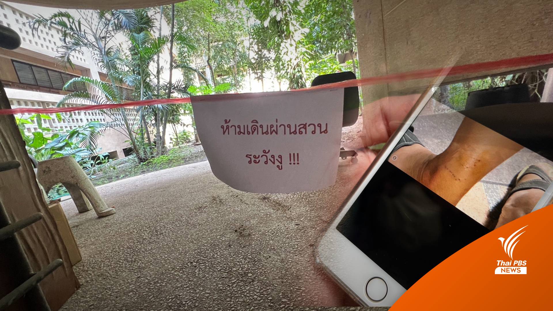 กรมอุทยานฯ "งูเหลือม" ดุ โผล่ฉกซ้ำ จนท.เจ็บ คนที่ 2