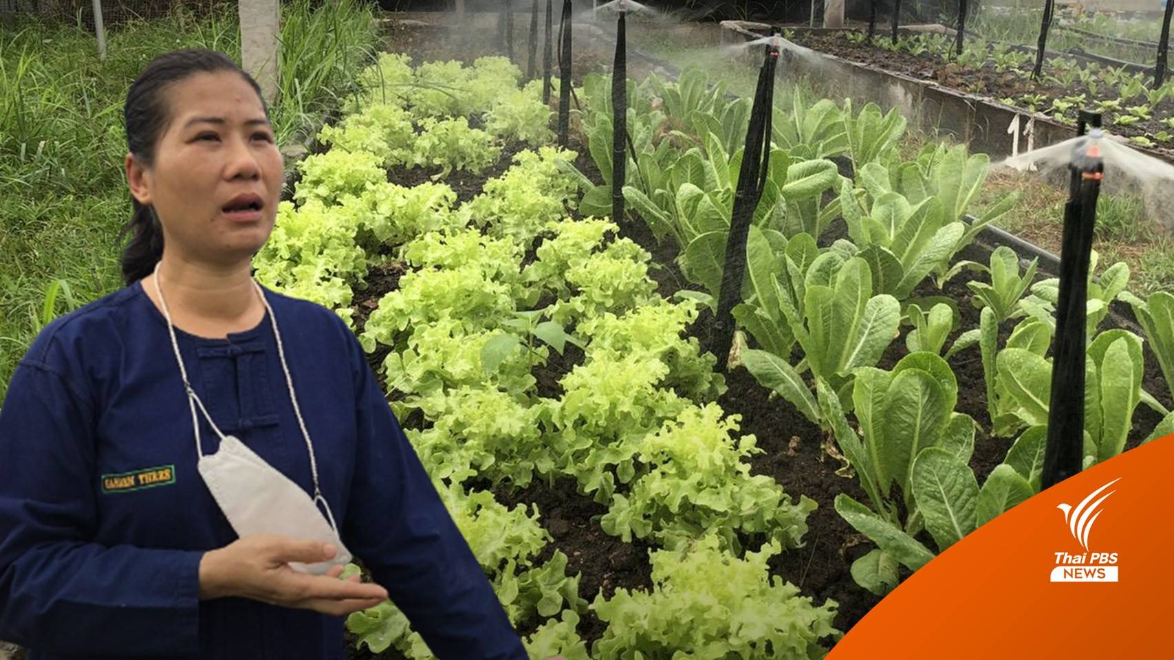 นักธุรกิจค้าไม้ ผันตัวมาทำเกษตรอินทรีย์ หลังพบจุดเปลี่ยนจากปัญหาสุขภาพ