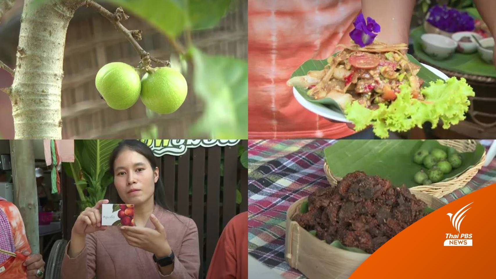 ชวนเที่ยว "ชุมชนบ้านเดื่อ" กินส้มตำ-ทำสบู่-จิบชามะเดื่อริมโขง