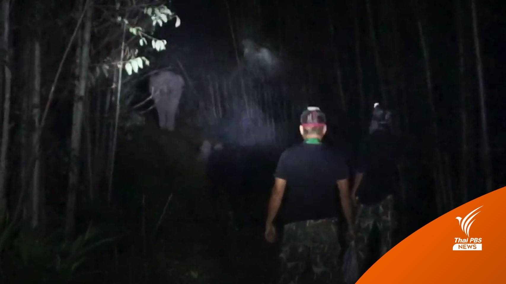 ชาวบ้านผวา! "เจ้าละมุด" ทำร้ายพิทักษ์ป่าทับลานเสียชีวิต