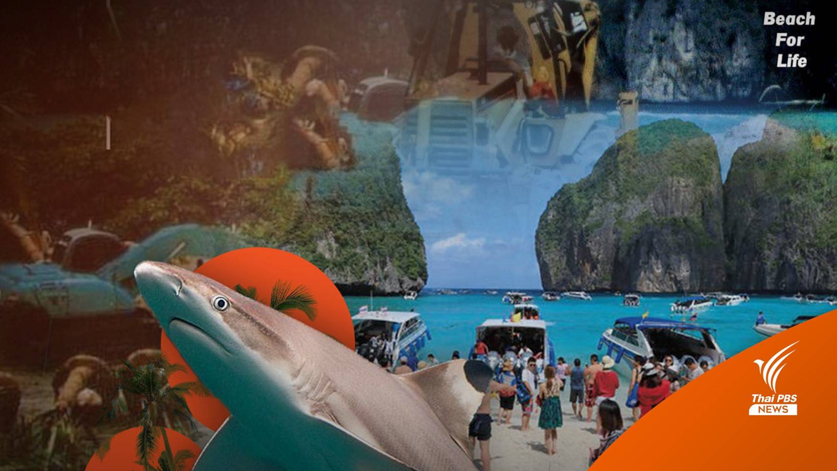 "อ่าวมาหยา" สวรรค์อันดามัน กับการกลับมาของ "ฉลามหูดำ"