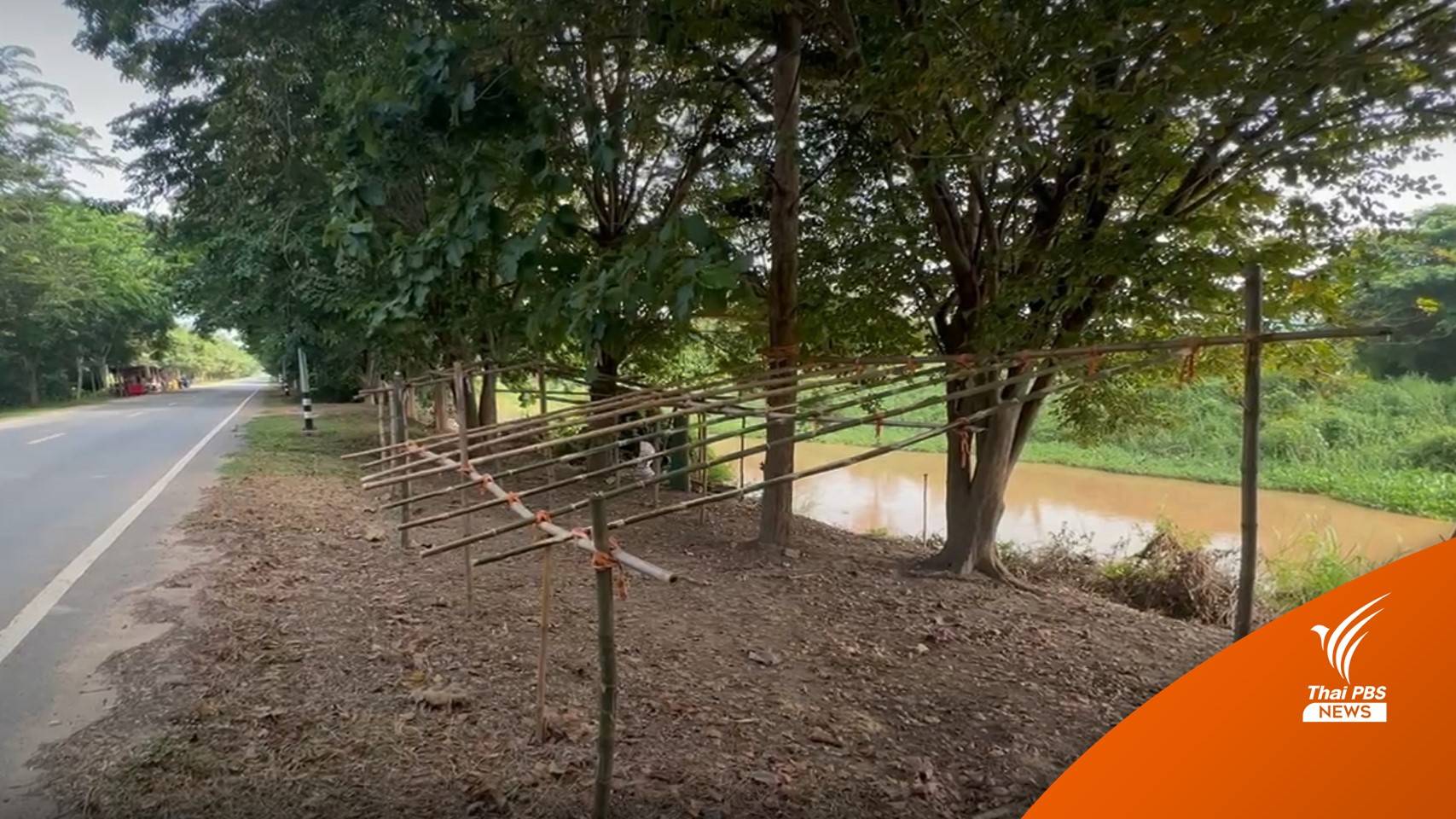 จับจองถนนริมคลองมหาราช 4 กม.หนีน้ำท่วมเจ้าพระยา