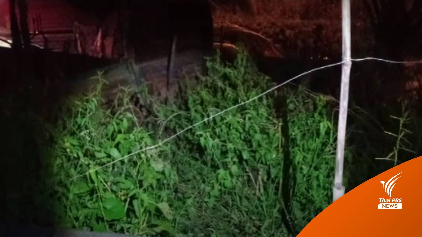 ตร.ยังไม่ตั้งข้อหา "เจ้าของรั้วไฟฟ้า" ช็อตเด็ก 13 เสียชีวิต