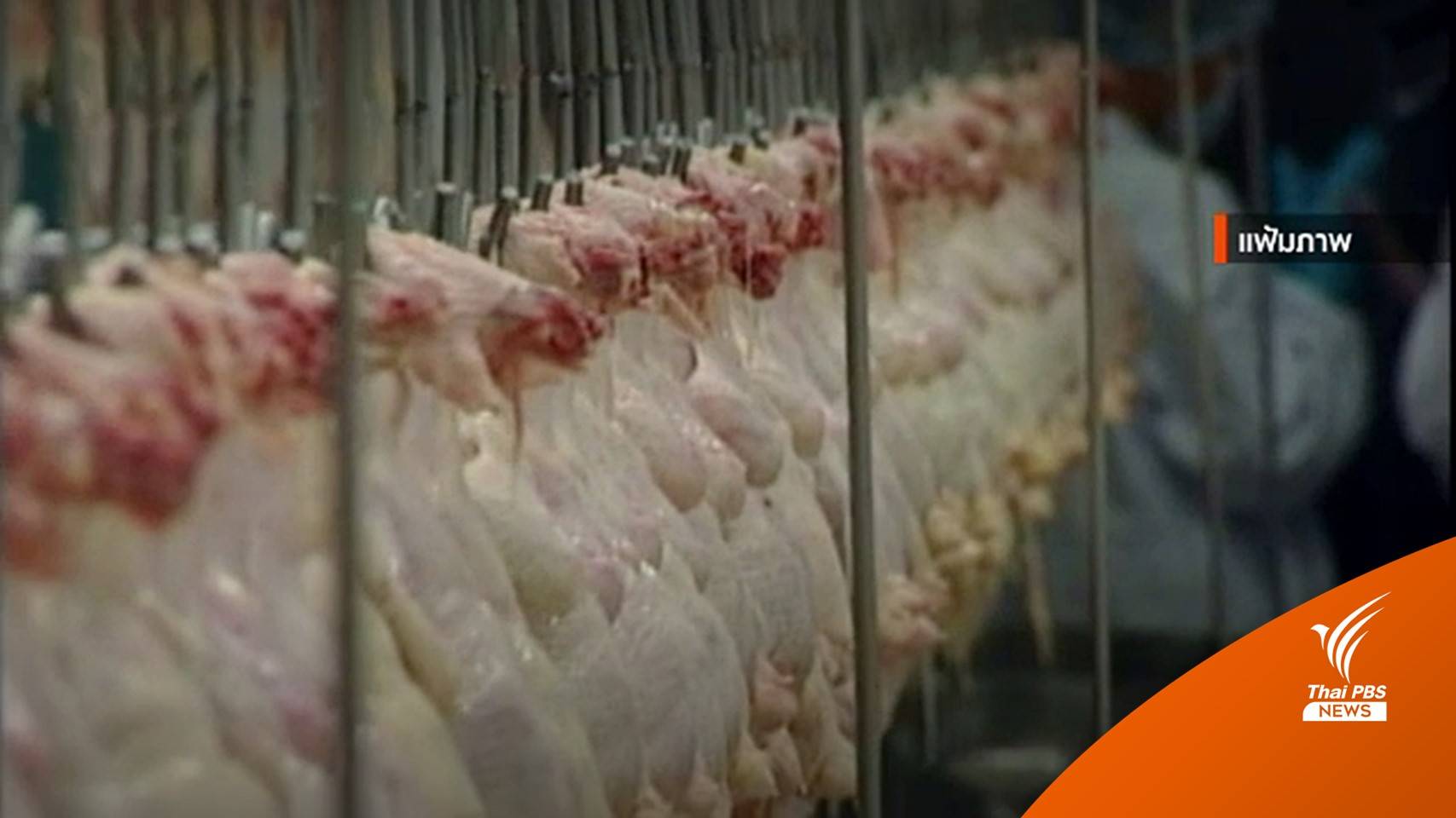 "ซาอุดีอาระเบีย" ยืนยันไทยส่งออก "ชิ้นส่วนไก่" ได้