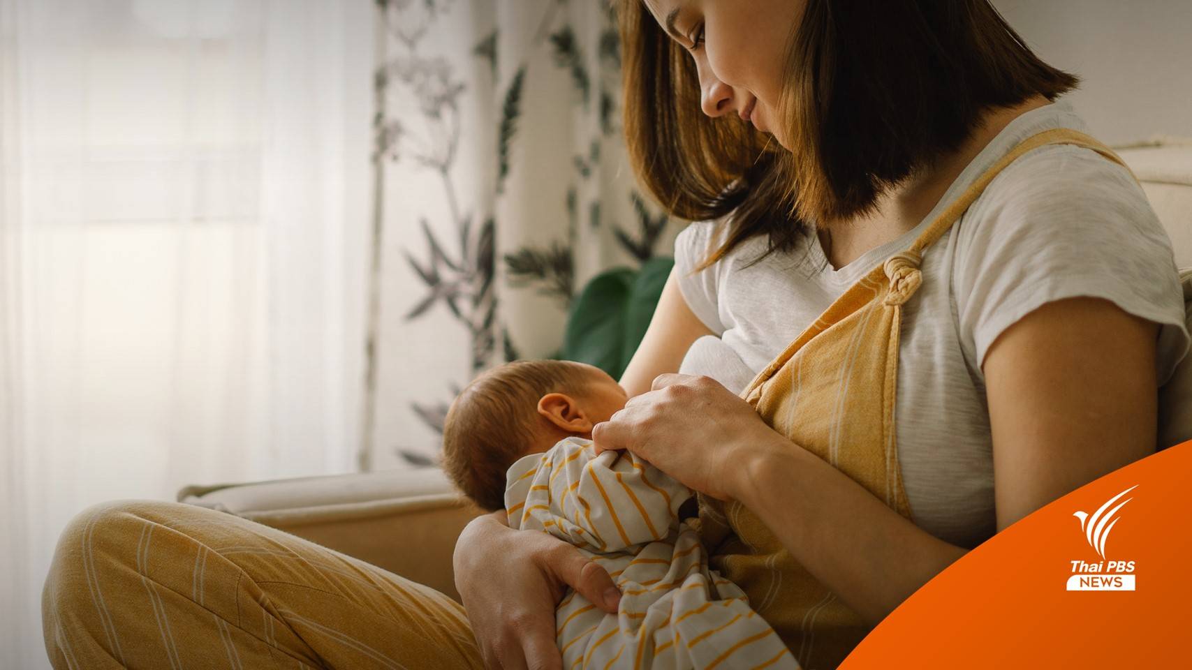 หนุนกินนมแม่ 6 เดือน สร้างภูมิคุ้มกันที่ดีทั้งชีวิต