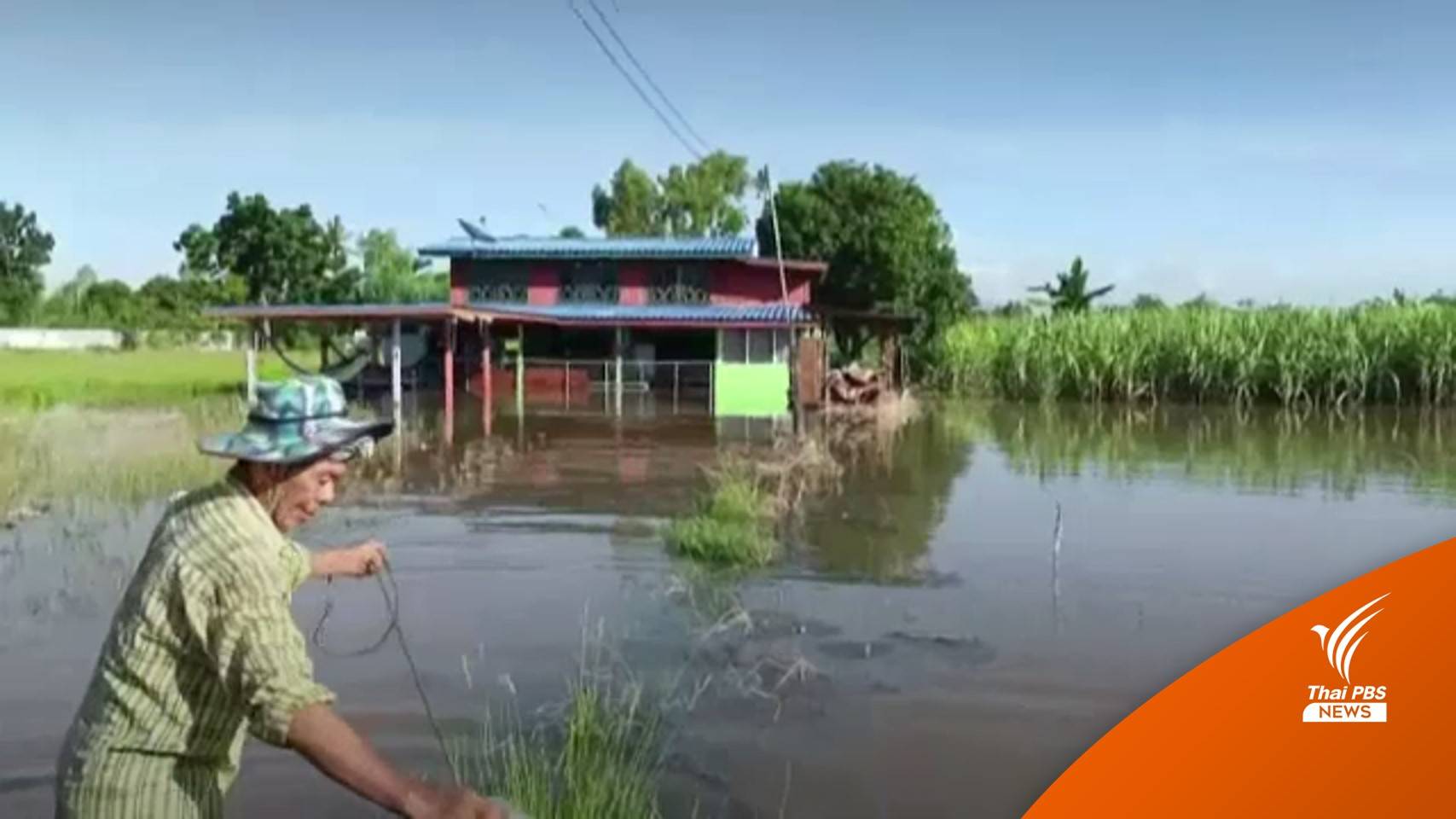 ฝนถล่มพะเยา! เตือนระยองขนของขึ้นที่สูง รับมือน้ำท่วม
