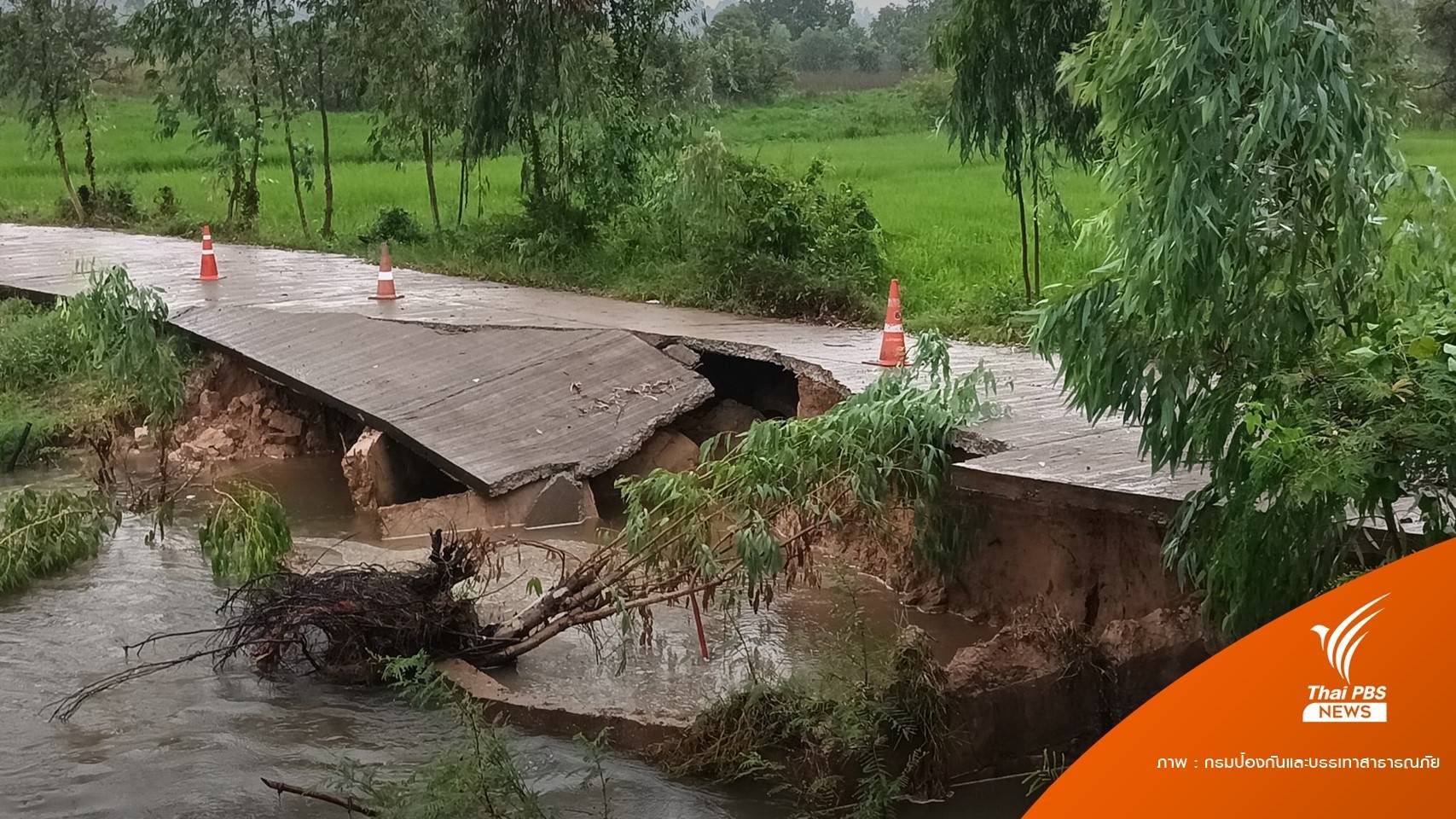 "พิษโนรู" ถล่ม 4 จังหวัดอีสาน เสียชีวิต 1 คน บาดเจ็บ 2
