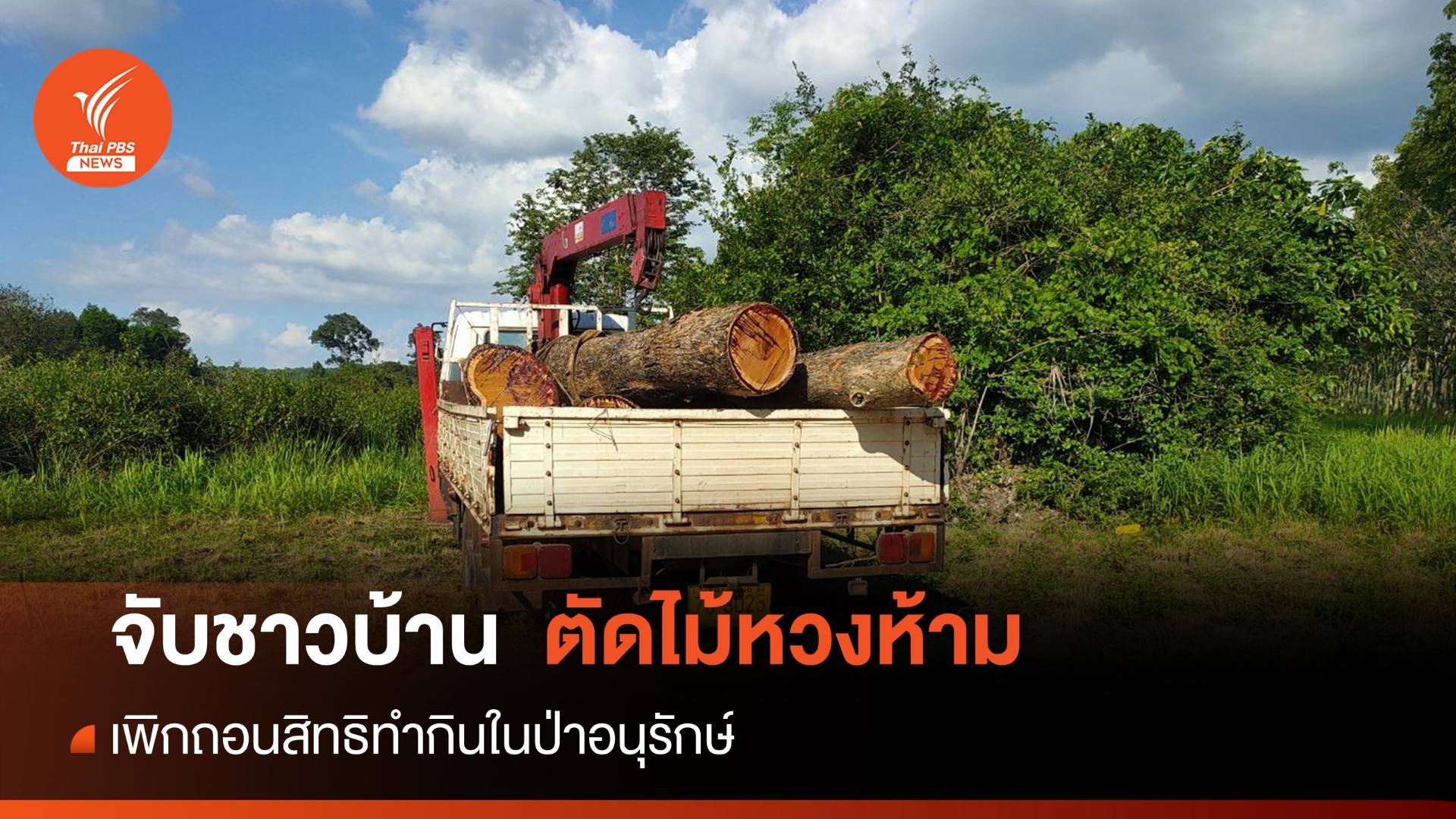 เพิกถอนสิทธิทำกิน 8 ชาวบ้านในป่าอนุรักษ์ ลอบตัดไม้หวงห้าม
