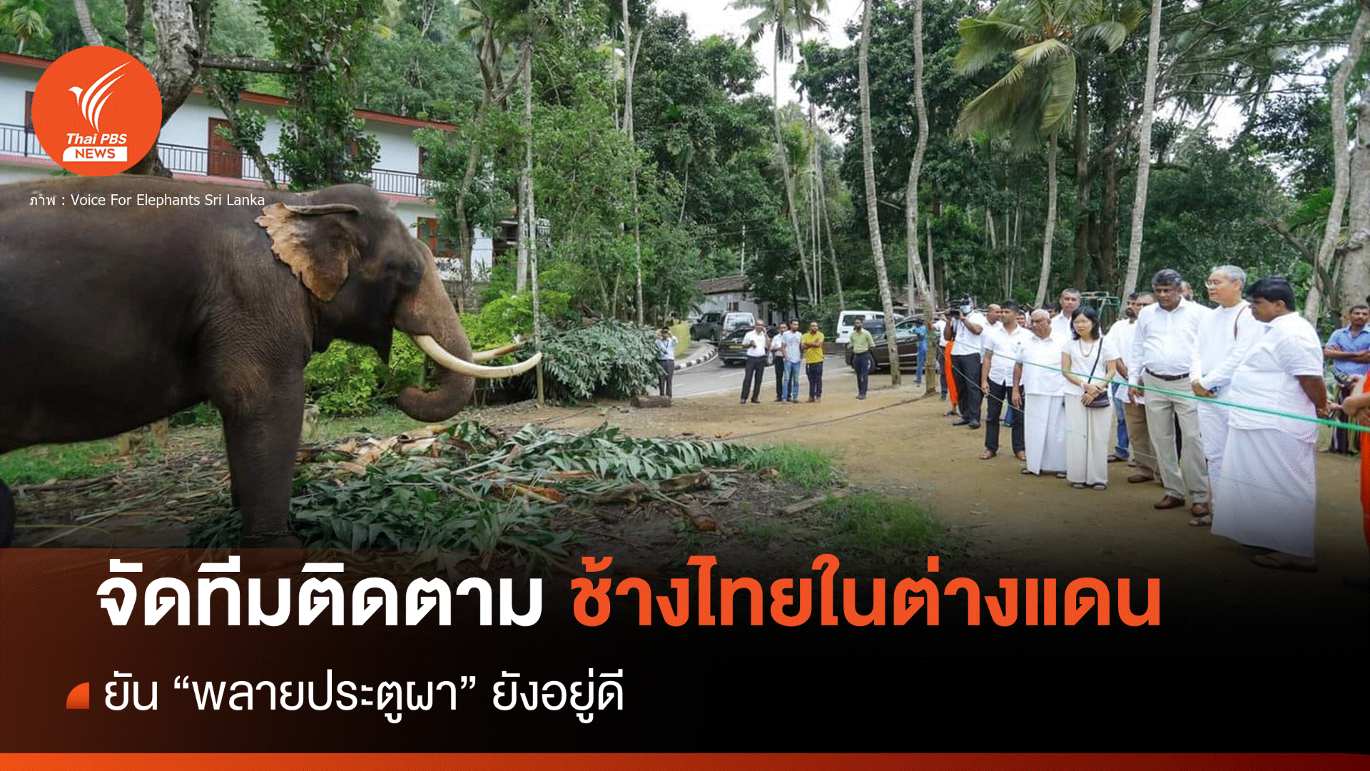 ทูตไทยเยี่ยม "พลายประตูผา" ยังอยู่ดี เล็งตามทุกเชือกในต่างแดน