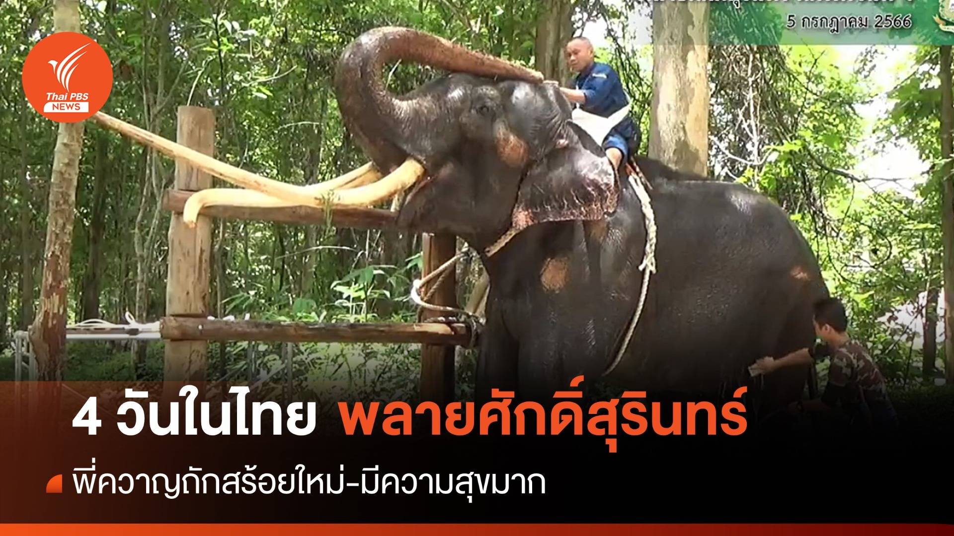 4 วันในไทย "พลายศักดิ์สุรินทร์" มีความสุข-พี่ควาญถักสร้อยใหม่รับขวัญ