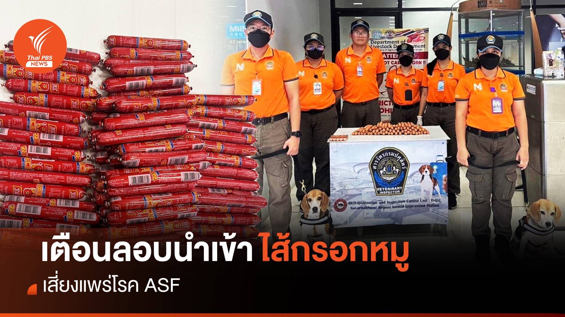 เตือน "ไส้กรอกหมู" ลอบนำเข้า เสี่ยงแพร่โรค ASF