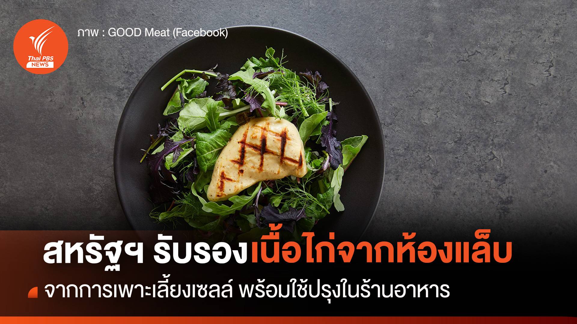 จากห้องแล็บสู่จานอาหาร สหรัฐฯ อนุมัติให้ขายเนื้อไก่จากการเพาะเลี้ยงเซลล์