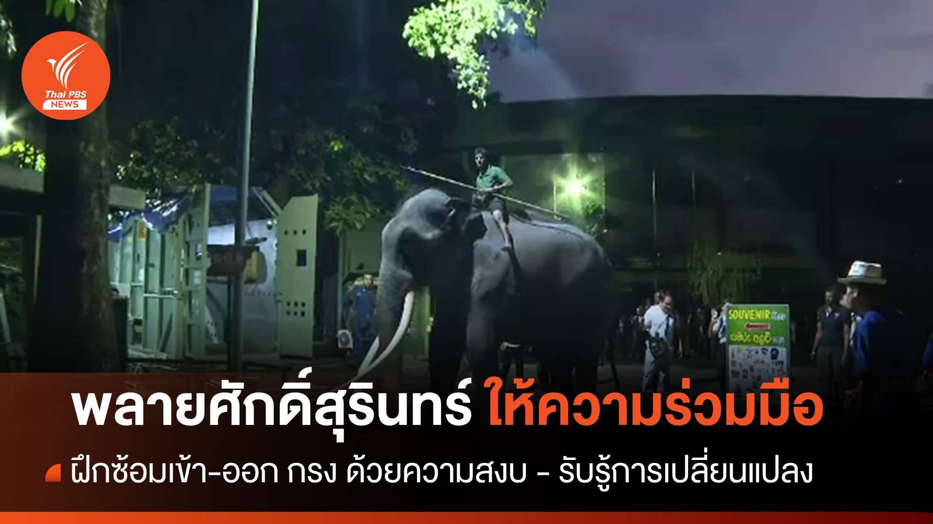 คาดพฤติกรรม "พลายศักดิ์สุรินทร์" รับรู้ความเปลี่ยนแปลงในชีวิตครั้งใหม่