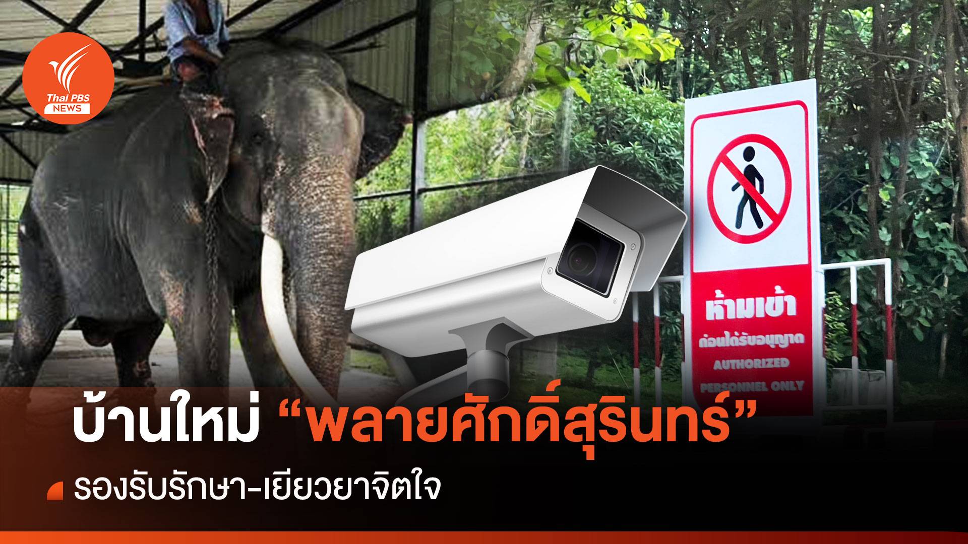 สำรวจจุดกักโรค-บ้านใหม่ศูนย์ช้างลำปางรับ  "พลายศักดิ์สุรินทร์" ถึงไทย 2 ก.ค.