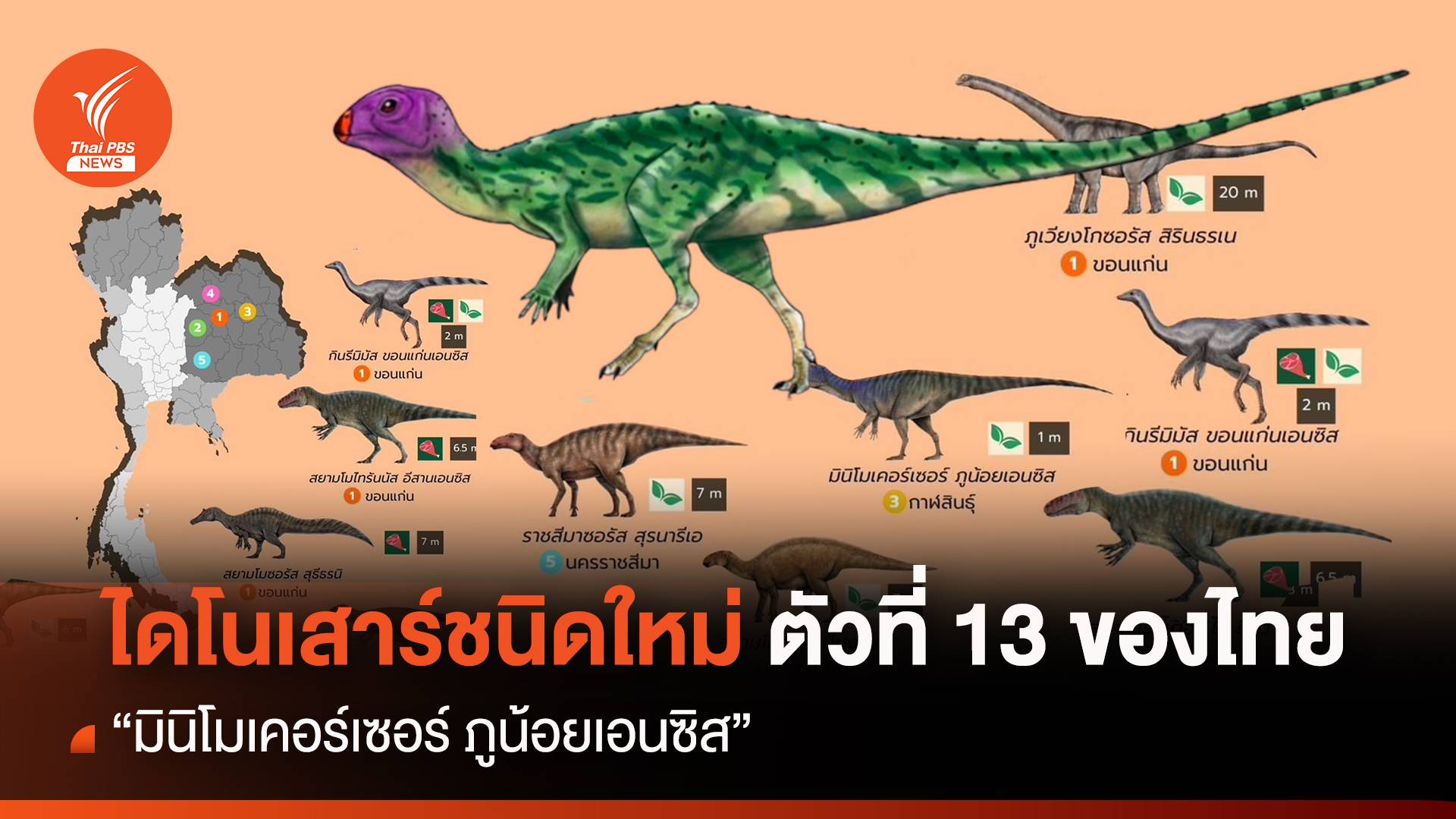 "มินิโมเคอร์เซอร์ ภูน้อยเอนซิส" ไดโนเสาร์ชนิดใหม่ตัวที่ 13 ของไทย 
