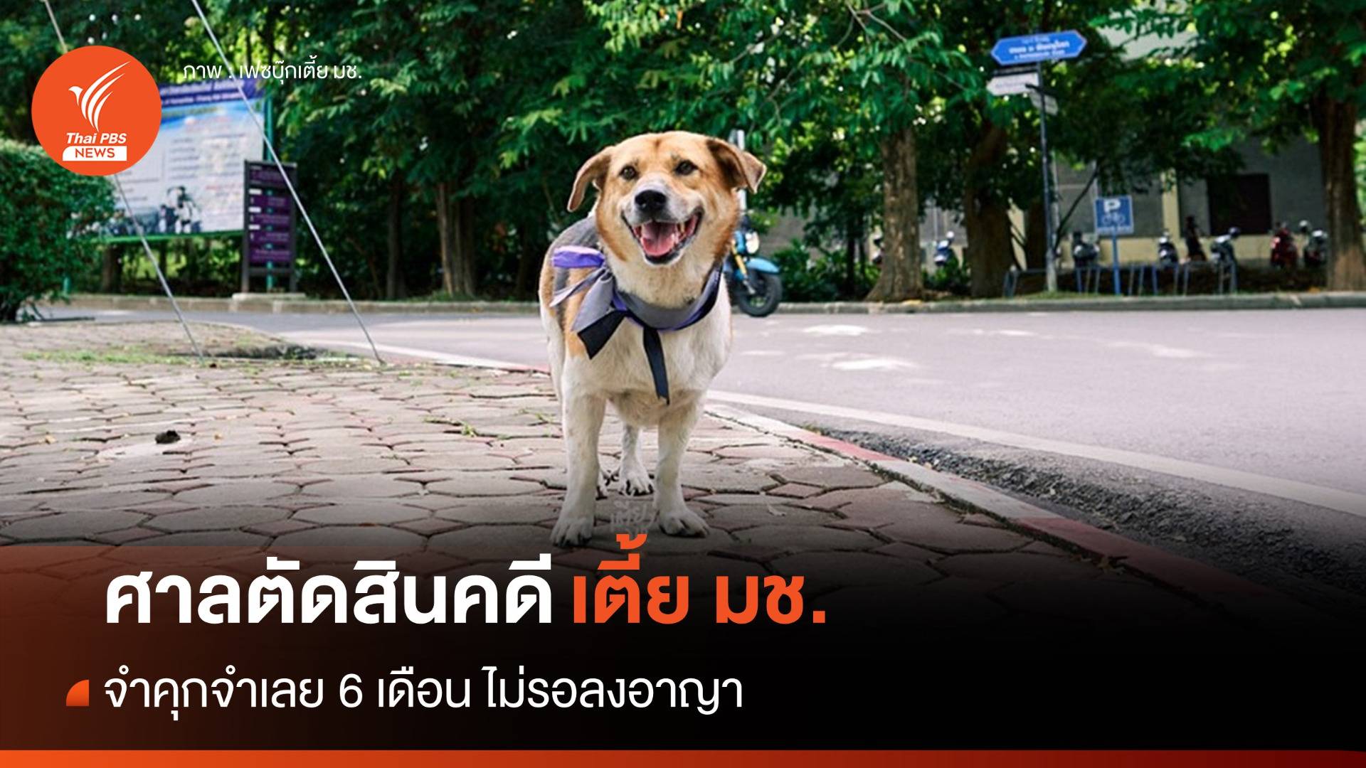 ศาลเชียงใหม่สั่งจำคุก ส.ต.ท. 6 เดือนไม่รอลงอาญาคดี "เตี้ย มช."