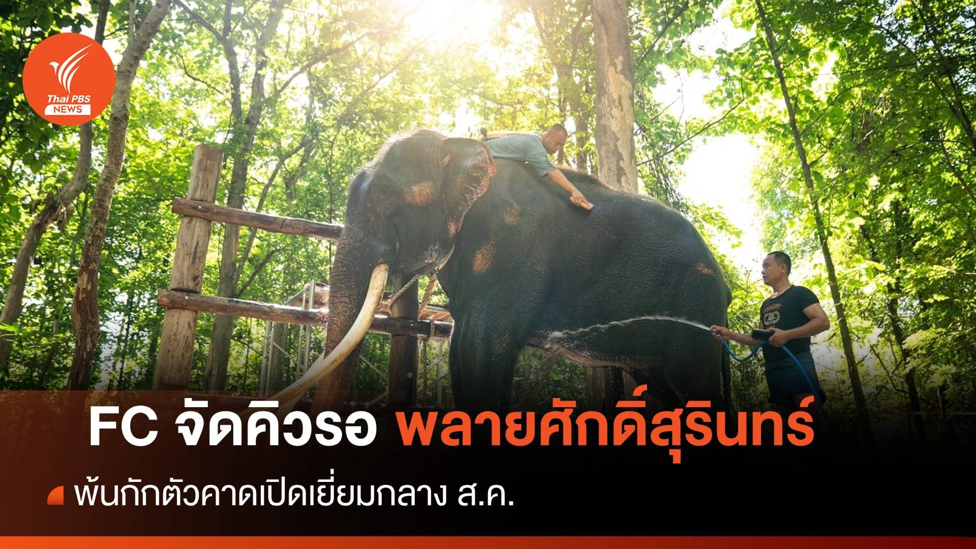 FC เตรียมเฮ! เปิดเยี่ยม "พลายศักดิ์สุรินทร์" ไม่เกินกลางส.ค.