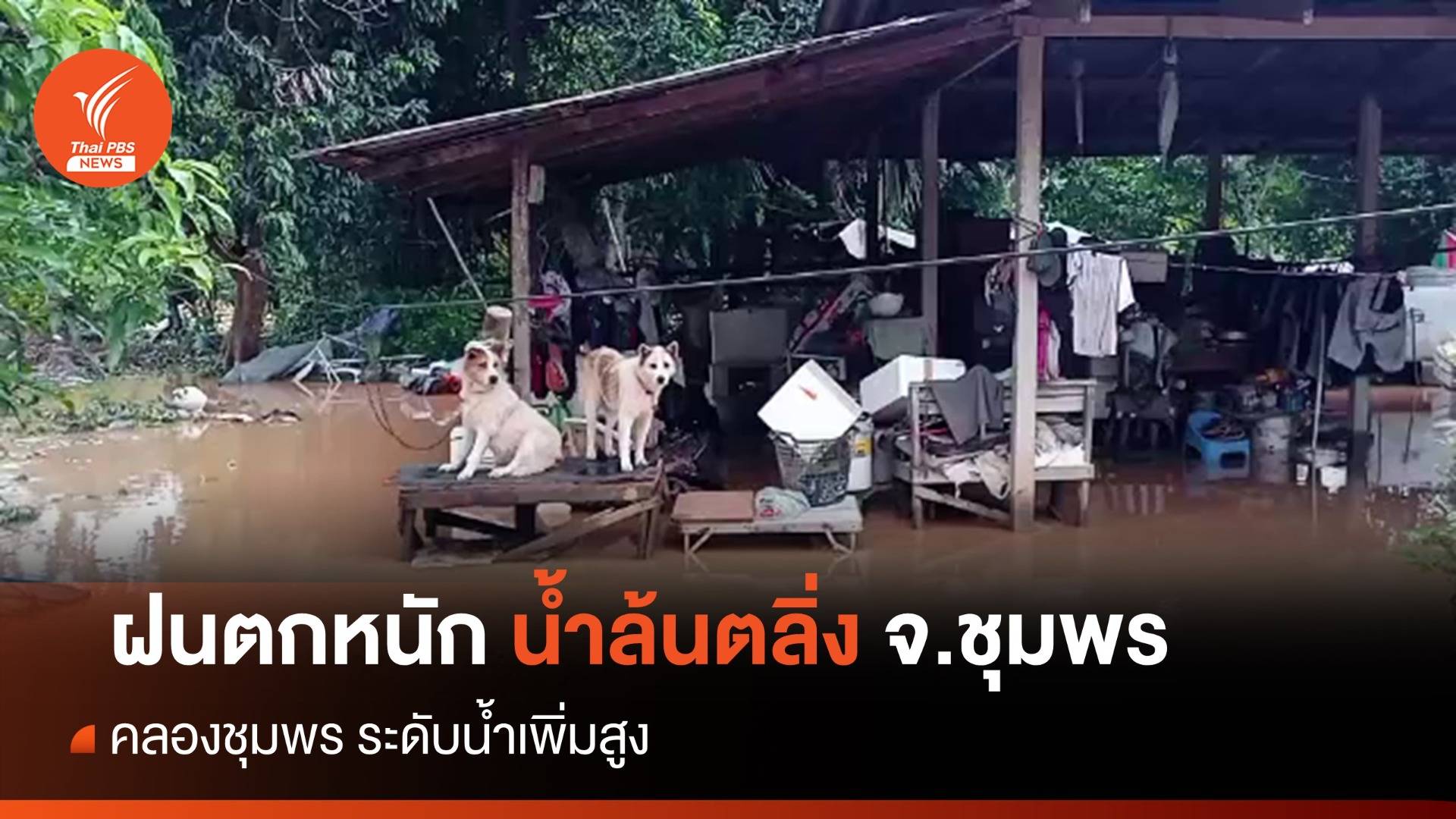 ฝนตกหนักน้ำล้นตลิ่งท่วมบ้านเรือนประชาชน จ.ชุมพร