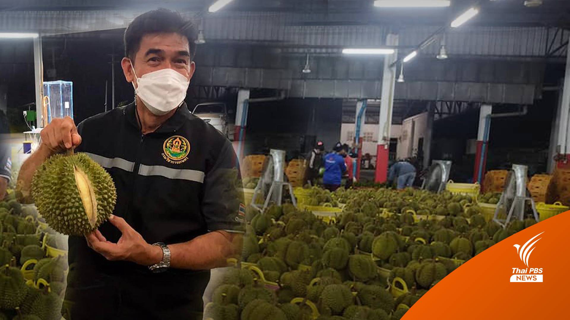 “ชลธี” ระบุถูกผู้มีอิทธิพลบีบให้ถูกย้ายพ้น ผอ.สวพ. 6 จ่อลาออก